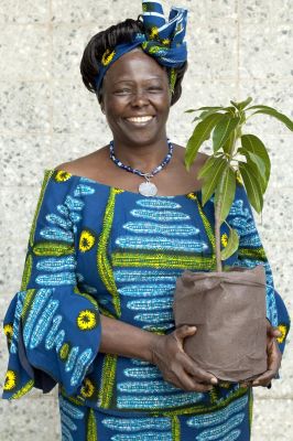 Wangari Maathai: The Planter of Environmental and Social Change.